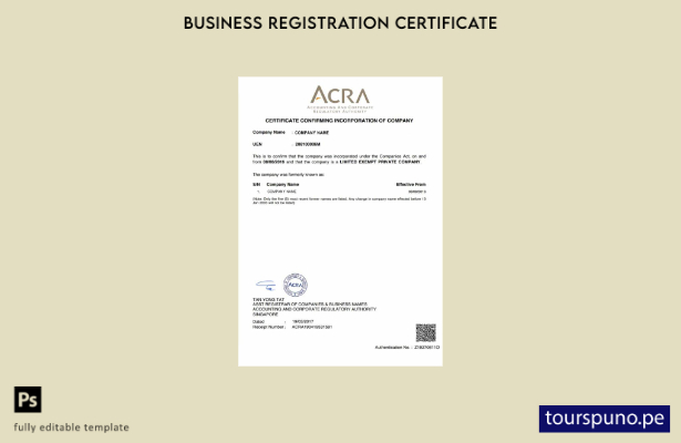 Plantilla de certificado de incorporación de Singapur lista para imprimir